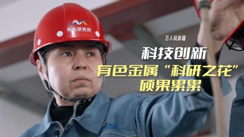 数据治理平台可视化功能解析：关键对比与选型策略